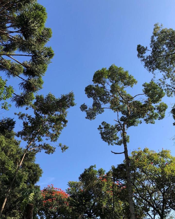 Aua Hostel Petrópolis エクステリア 写真