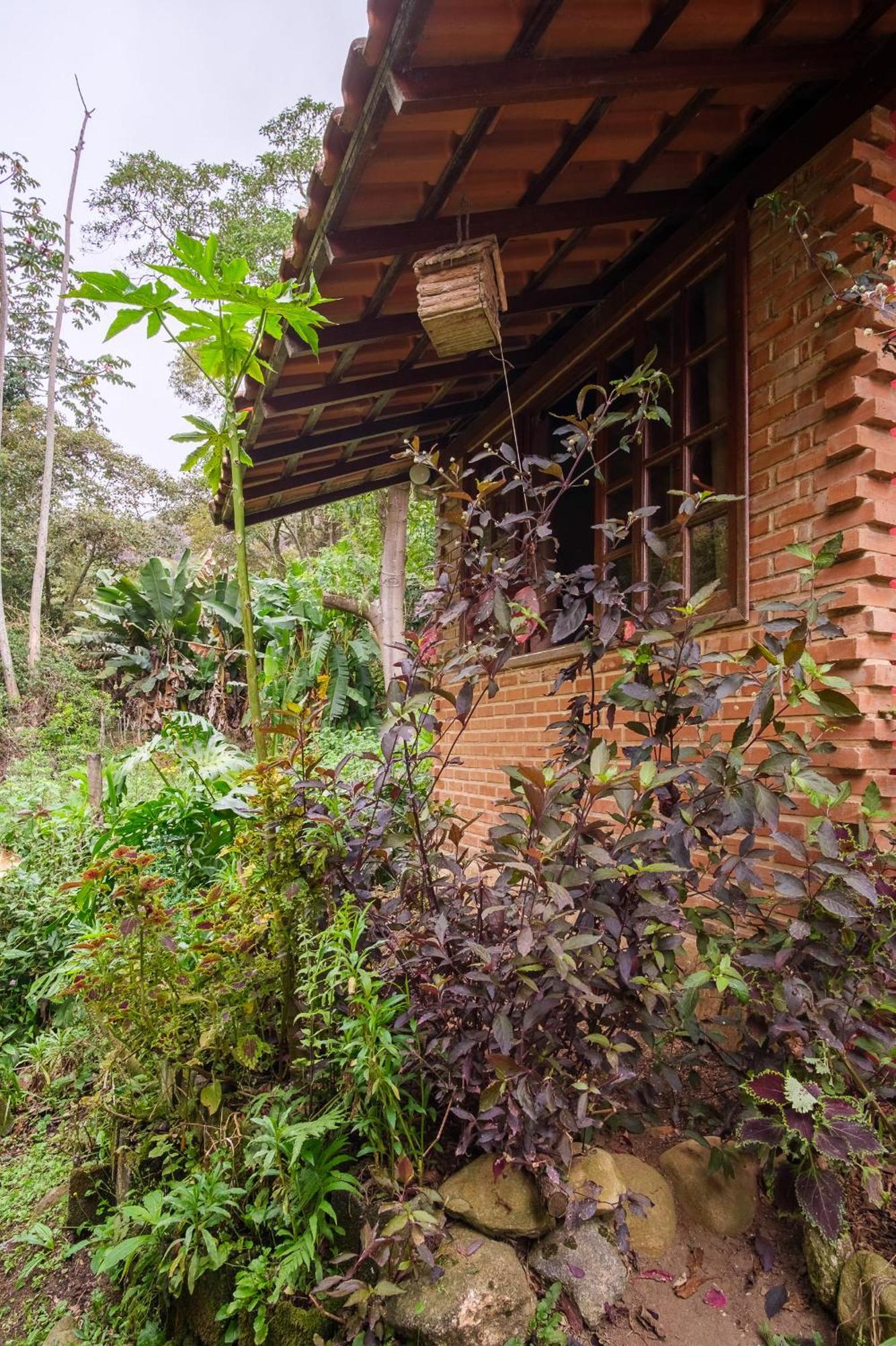 Aua Hostel Petrópolis エクステリア 写真